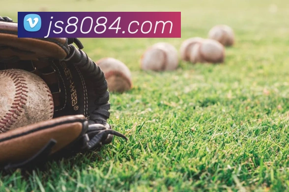 澳门金沙国际服务体系